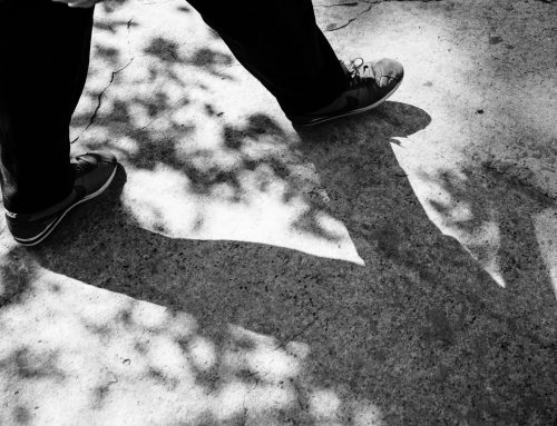 Di fiducia, passo dopo passo