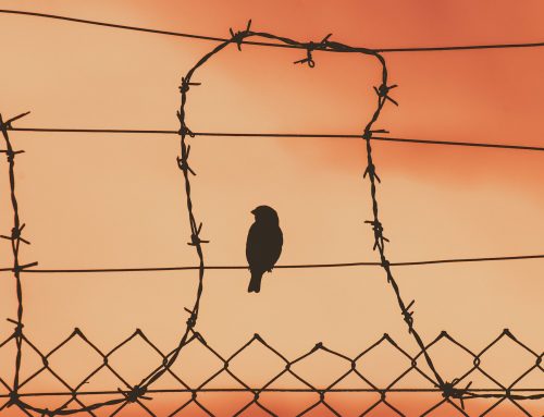 Non puoi uscire. Non ancora.