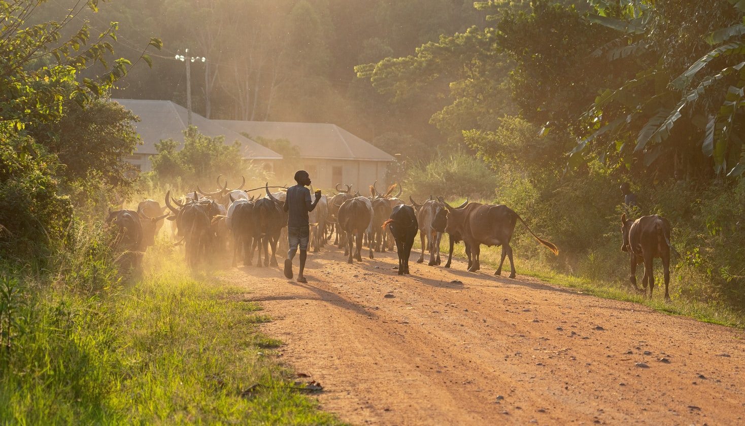 Quando il ritorno in patria diventa una scelta- Centro Sammartini