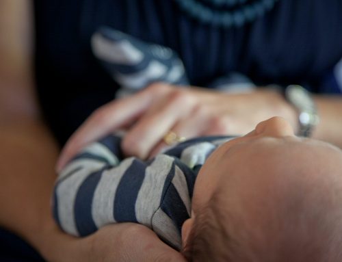 Ripartono le attività di Cuore Visconteo