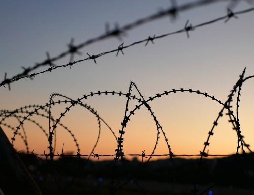 La storia di Hakim e Adel: dalla rotta balcanica a San Zenone al Lambro