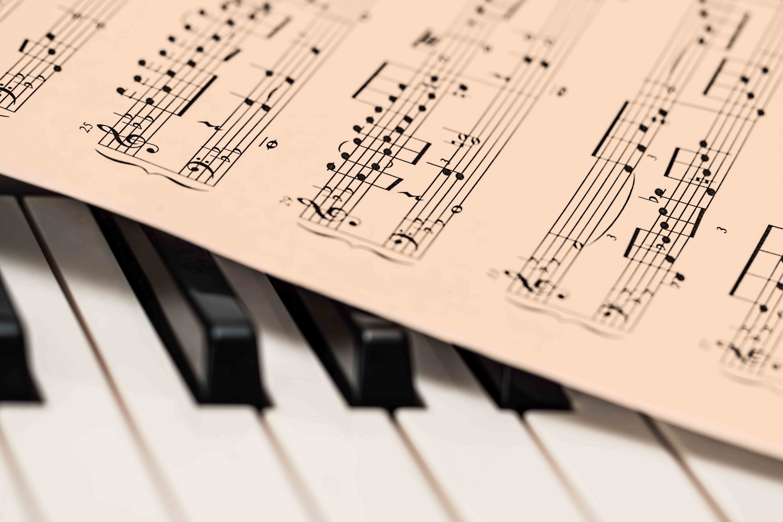 MUSICA DANZA E TEATRO